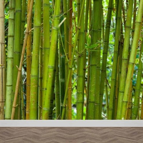 Fotobehang Groene bamboe