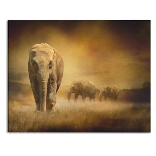 Canvas olifanten in de namibwoestijn