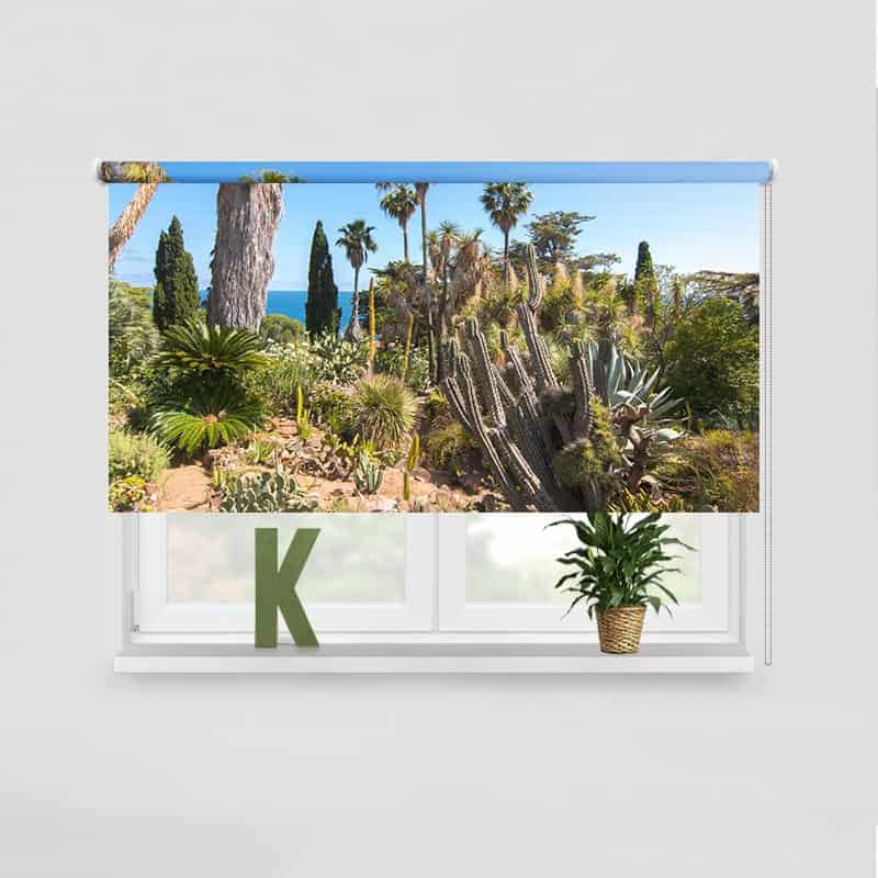 Rolgordijn Cactus tuin