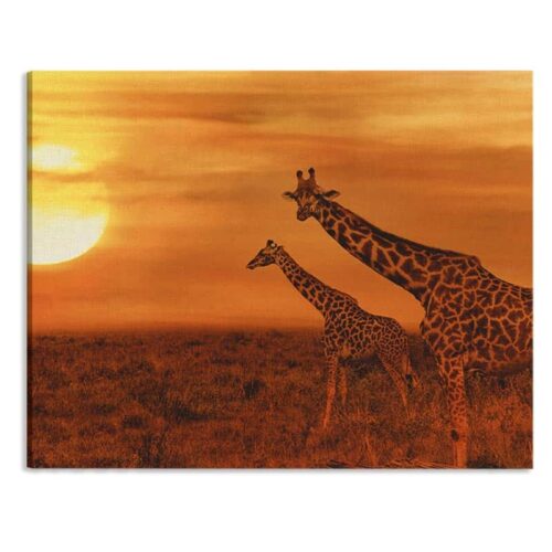Canvas Giraffen in de avondschemer
