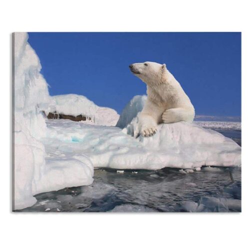 Canvas Ijsbeer op ijsschots