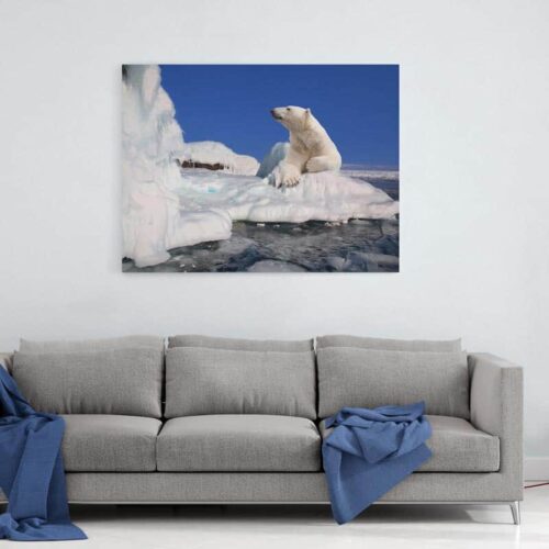Canvas Ijsbeer op ijsschots